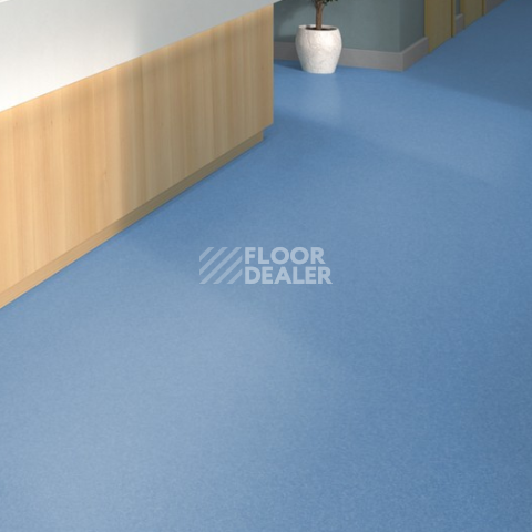 Tarkett iq Melodia 2628 фото 2 | FLOORDEALER